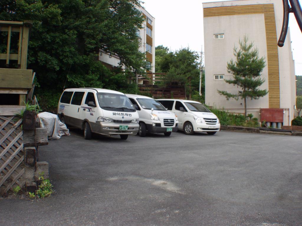 White Cabin Pyeongchang Exterior foto