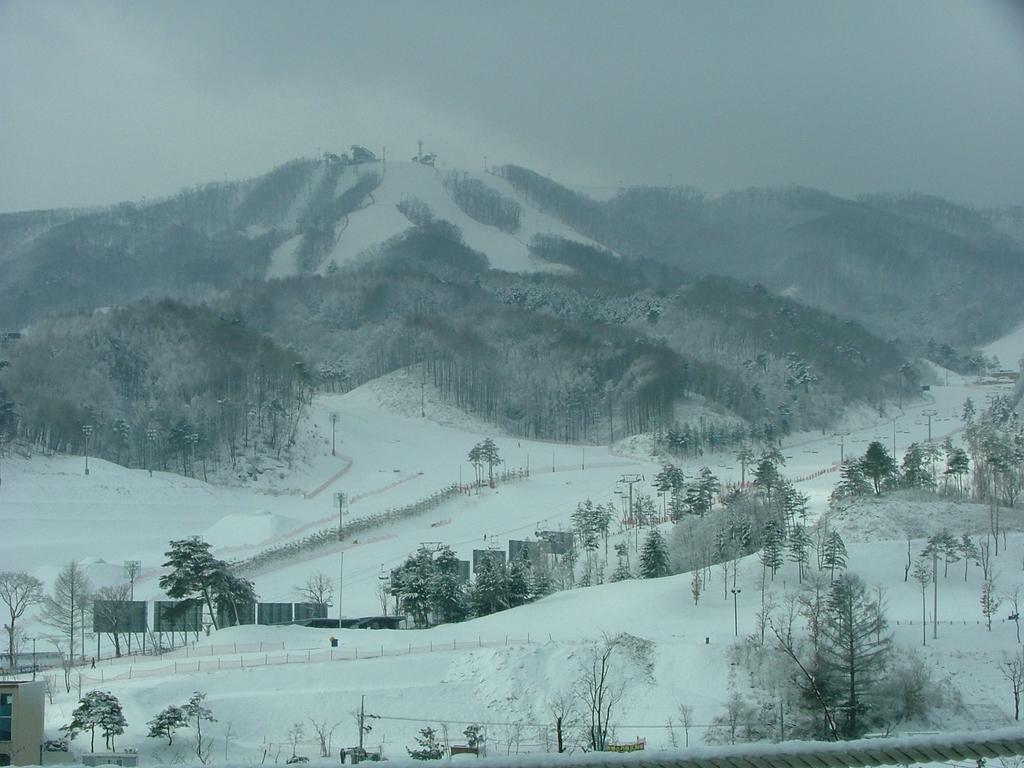 White Cabin Pyeongchang Exterior foto
